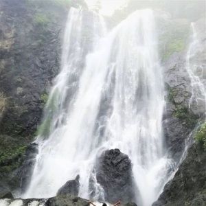 Meet your Posher, Beverly